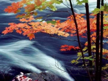 From Photos Realistic Painting - Red Maple Leaves River Painting from Photos to Art